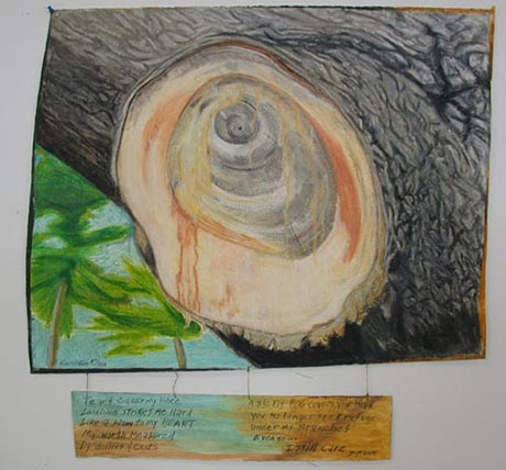 Gros plan d'un Tree dont une branche vient d'�tre coup�e. La s�ve ressemble � des larmes.