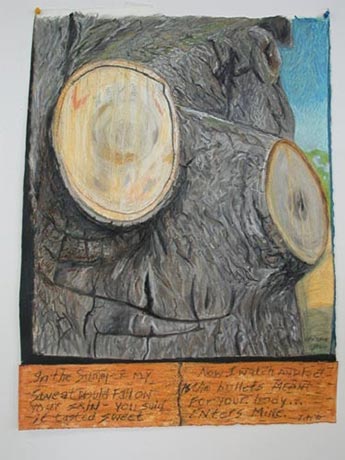 Gros plan d'un arbre dont deux branches viennent d'�tre coup�es.