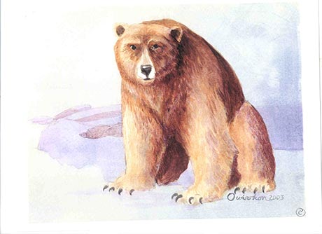Ours brun assis dans la neige.