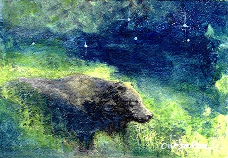 Ours noir au milieu d'herbes hautes sous une nuit �toil�e.