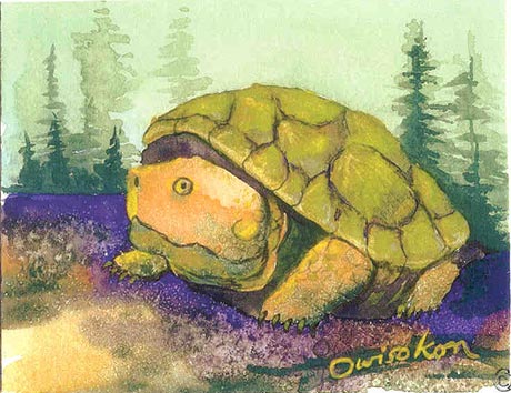 Tortue serpentine devant une for�t.