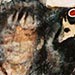 Thumbnail from �Happiness is Movement (d�tail)� from Glenna Matoush