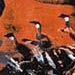 Thumbnail from �Les oies� from Jacques Newashish