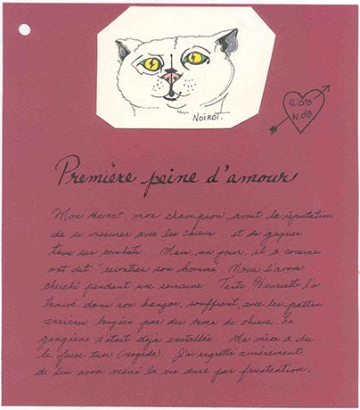 T�te de chat blanc.