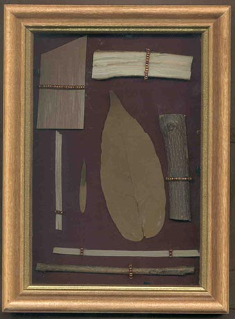 Leaves and wood in a frame.