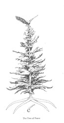 Miniature de The Tree of Peace