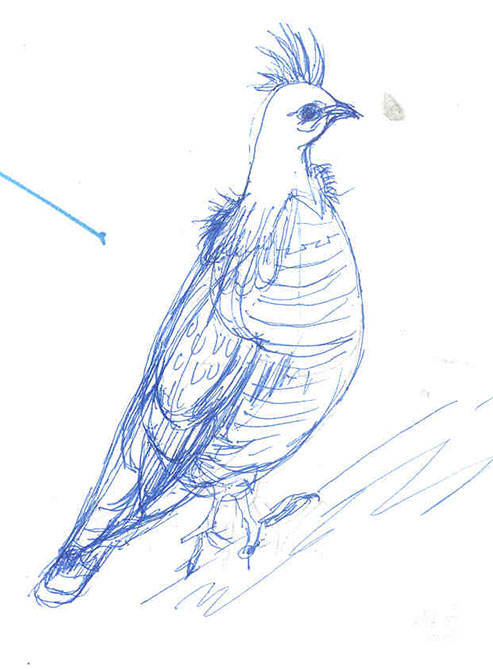 G�linotte hupp�e, encre sur papier. Toute de bleue dessin�e, la huppe d�ploy�e, son oeil rond et nerveux ne d�tecte aucun danger pour l'instant.