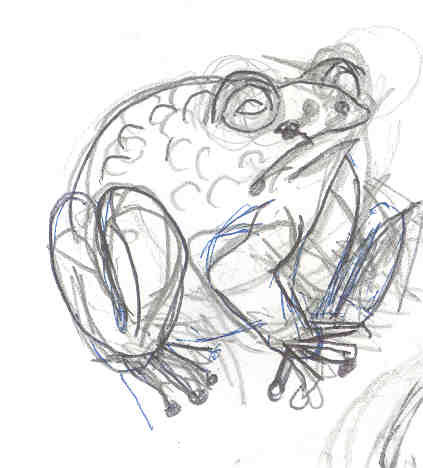 Crapaud, encre et graphite sur papier. Gobeur de mouches aux yeux mi-clos, semblable � la grenouille de Basho tout juste avant le ploc.