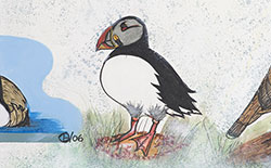 Miniature de Les oiseaux de Jacques Cartier (détail)