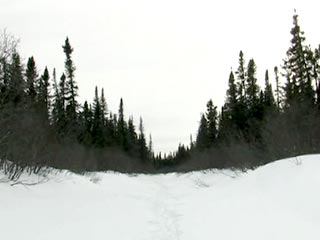 Still from The Winter Chill