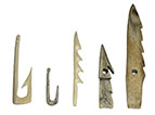 Outils de p�che en os (Une description d�taill�e accompagne l'agrandissement de l'image)