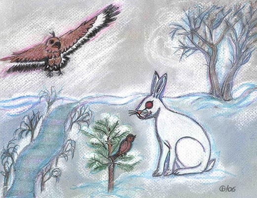 A rabbit and two birds in snow.