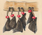 CLOCHETTES (sokwahiganal)
