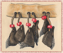 CLOCHETTES (sokwahiganal) : D�tail d’une bande de cuir perfor�e et garnie de perles rouges et de sabots de cerf gris fonc�s enfil�s en pendilles sur des lacets de cuir. 
